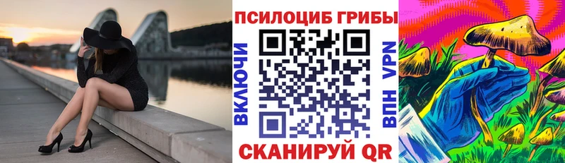Галлюциногенные грибы MAGIC MUSHROOMS  Купить закладки  Шумиха 